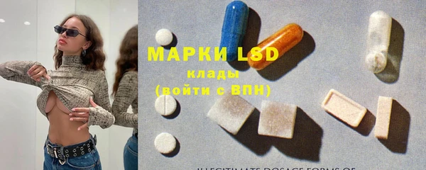шишки Армянск